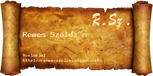Remes Szolón névjegykártya